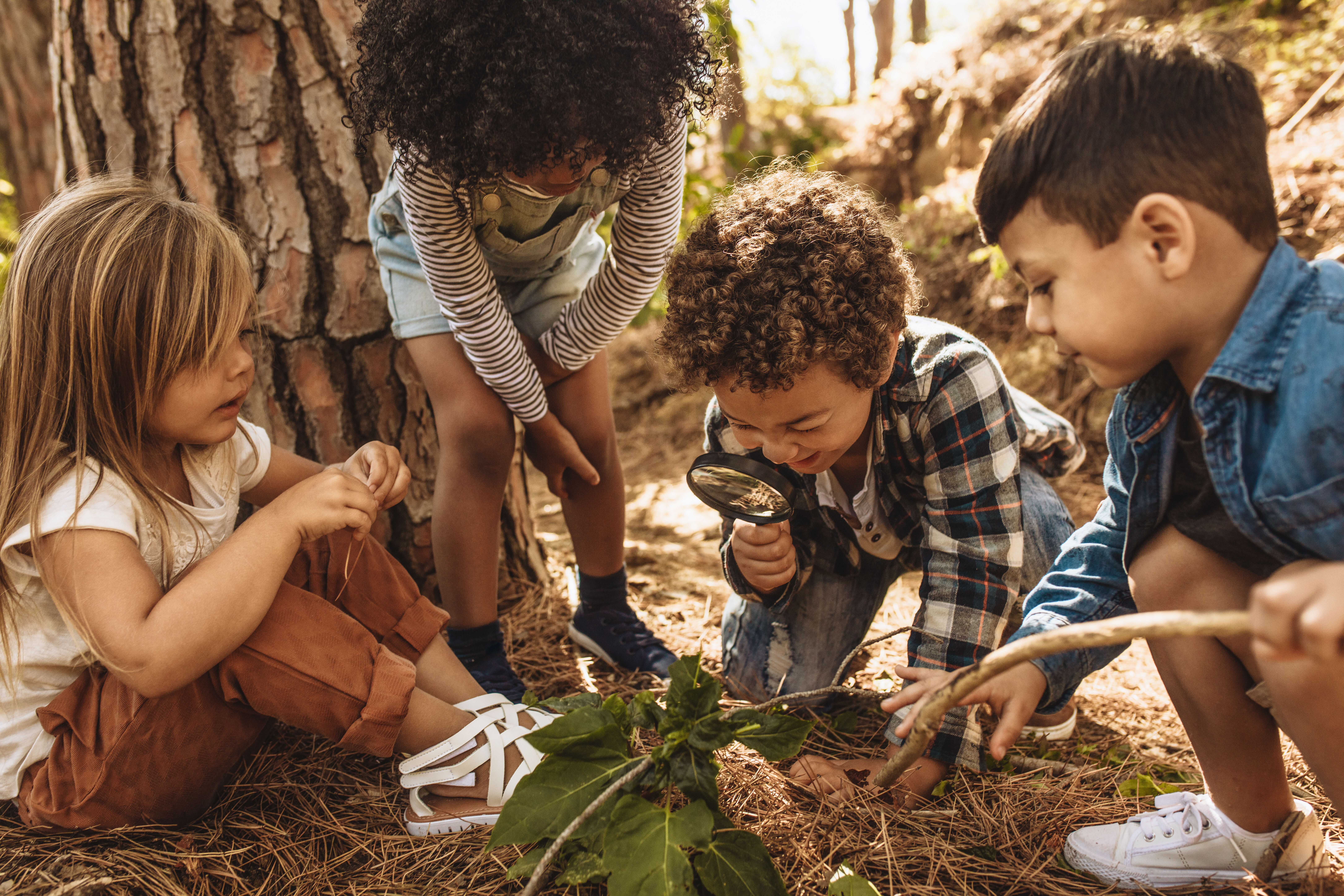 Kinder spielen frei im Wald